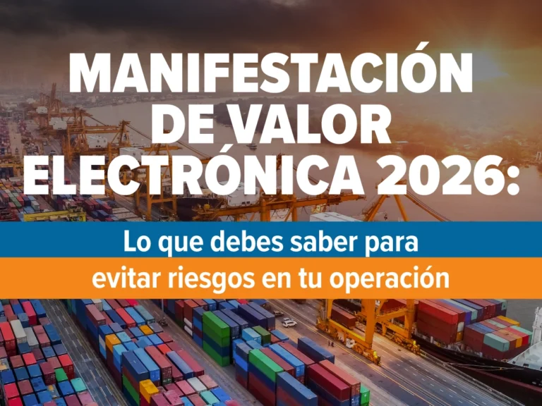 manifestacion-de-valor-electronica-2026 copia